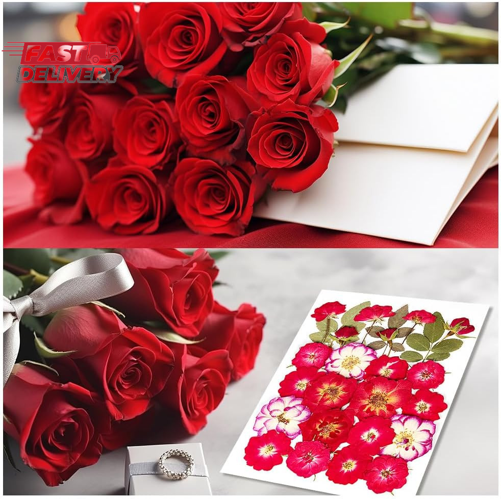 25Pcs Dried Pressed Rose for Resin Molds, Real Natural Rose Flowers Leaves Kit,