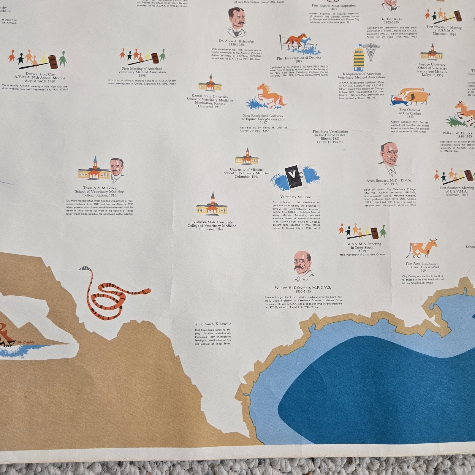 1960 Veterinary Medicine In America Poster History Map Unframed Vtg Vet Wall Art