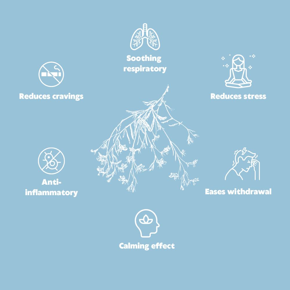 QuitPix to Help Quit Smoking Extra Thick Boosting Flavored Toothpicks 3 Pack