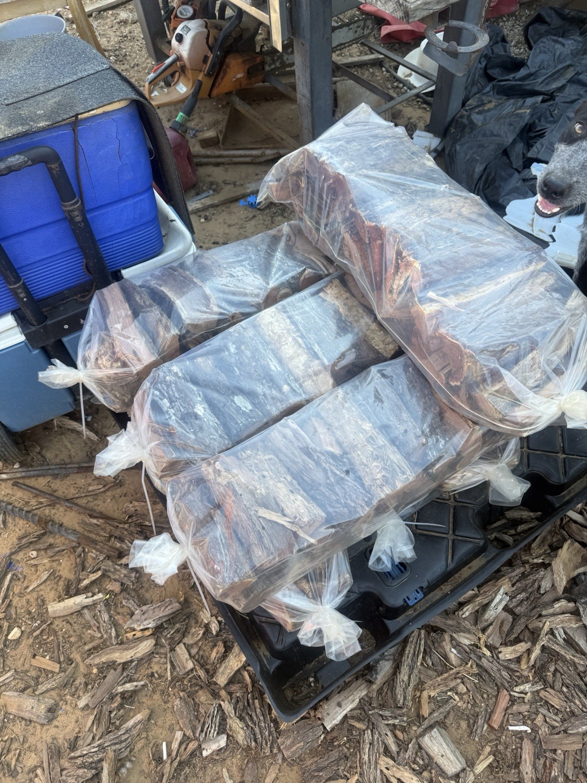 BBQ Mesquite Wood Chunks-Raw Smoking Wood for Grilling Or Smoking. About 28 Lbs