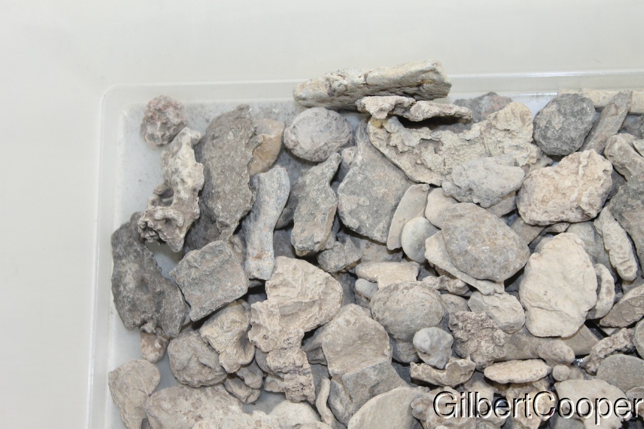 ONEIDA INDIAN LEAD SCRAP - SELLING 1 PIECE AT A TIME