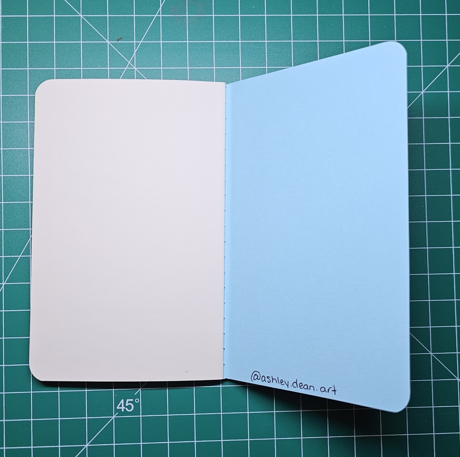 Pocket Journal | Sketchbook 5.5x35" Floral/Mushroom Stamped Hand Cut Linoleum