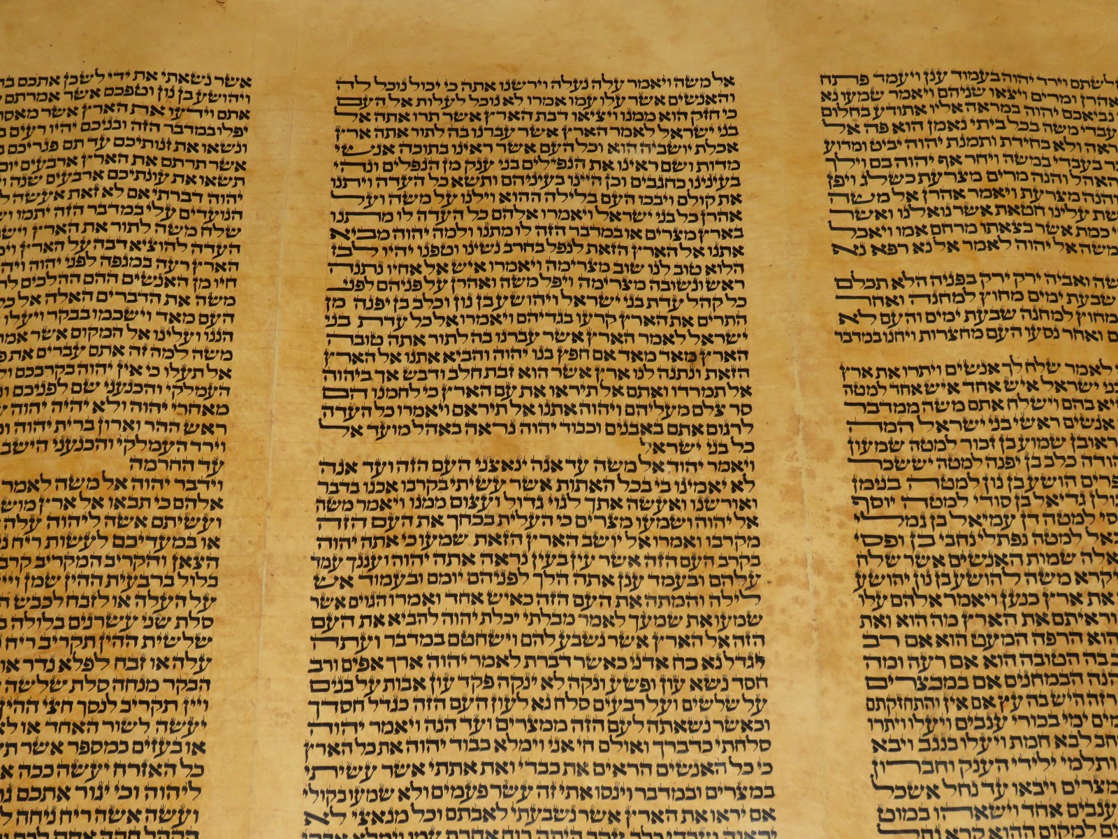 LARGE RARE TORAH BIBLE MANUSCRIPT VELLUM LEAF 150-200 YRS OLD FROM ITALY