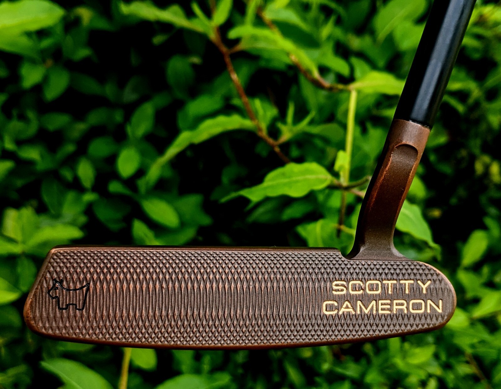 Stepless Black Putter Shaft .390 (Fits Scotty Cameron, Ping and More)