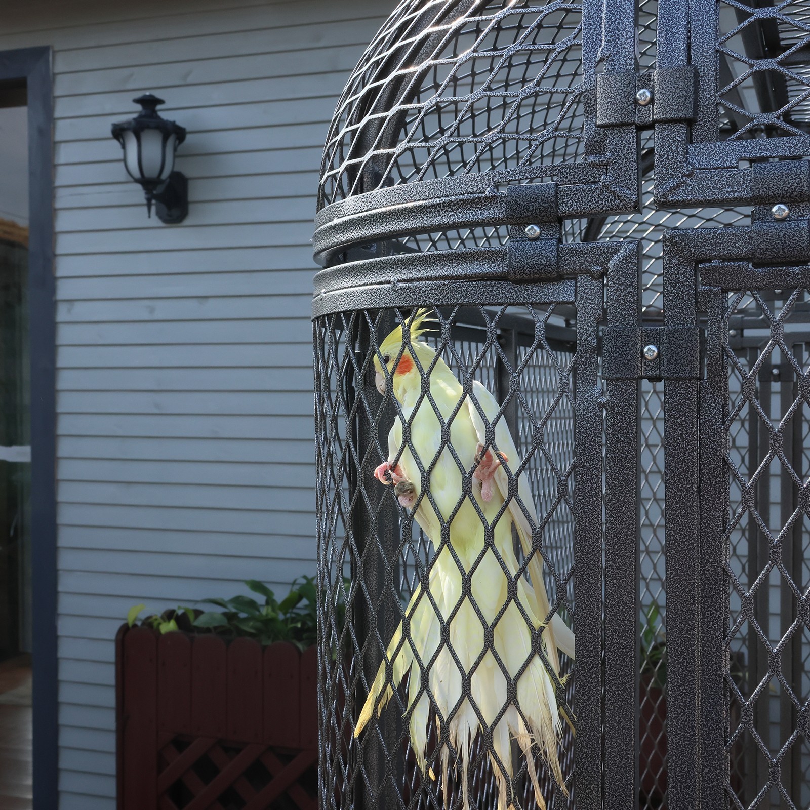 Large Walk-in Silver Flight Bird Cage Aviary Parrot Macaw Finch Metal Aviary