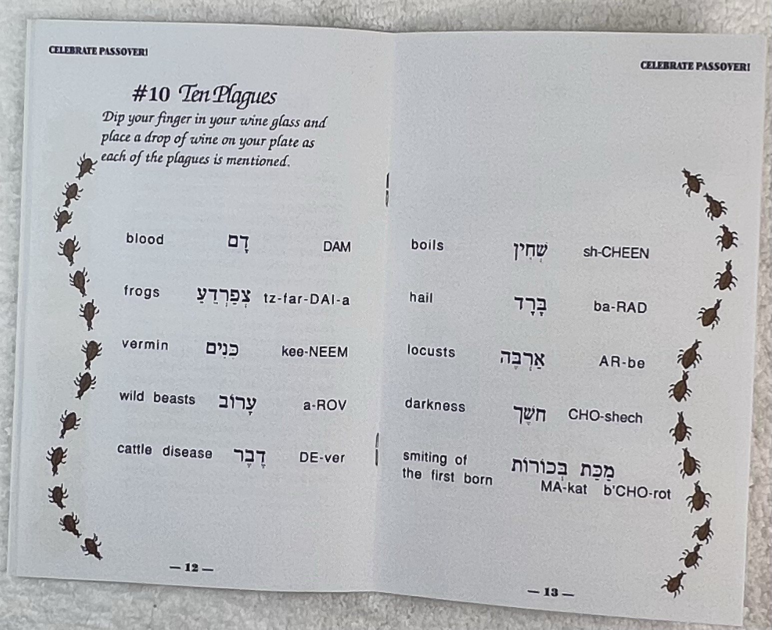 A Family Seder in 20 EASY Steps! Haggadah f/ Passover in a modern way-Lot of 10