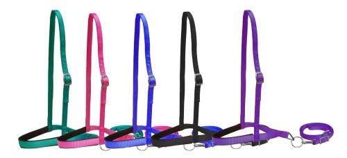 Showman Pony Size Premium Nylon Noseband Tie Down w/ Strap