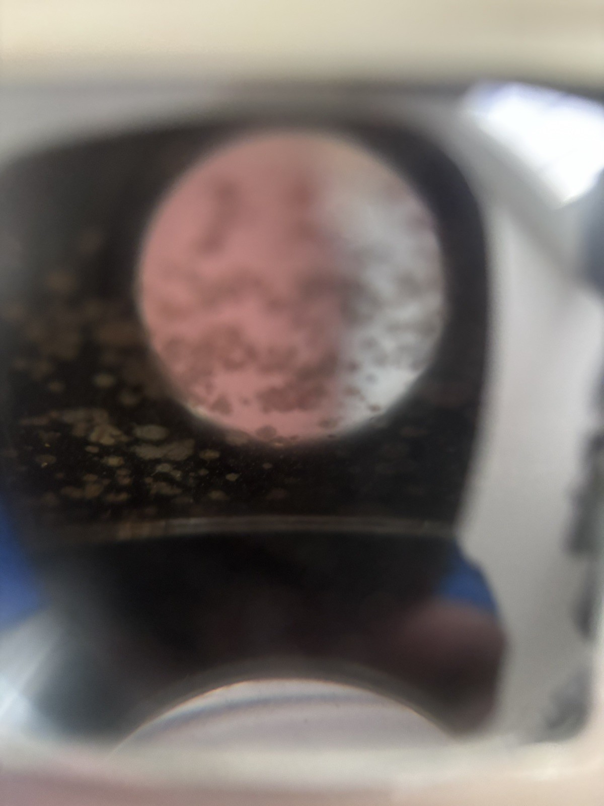 Kodak Duaflex Box Camera Vintage Camera Uses Kodak 620 Film Very Nice Not Tested