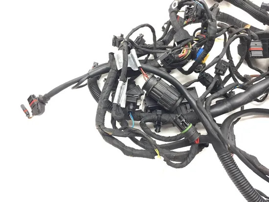 Main Engine Wiring Harness 2009 BMW F800GS 3131