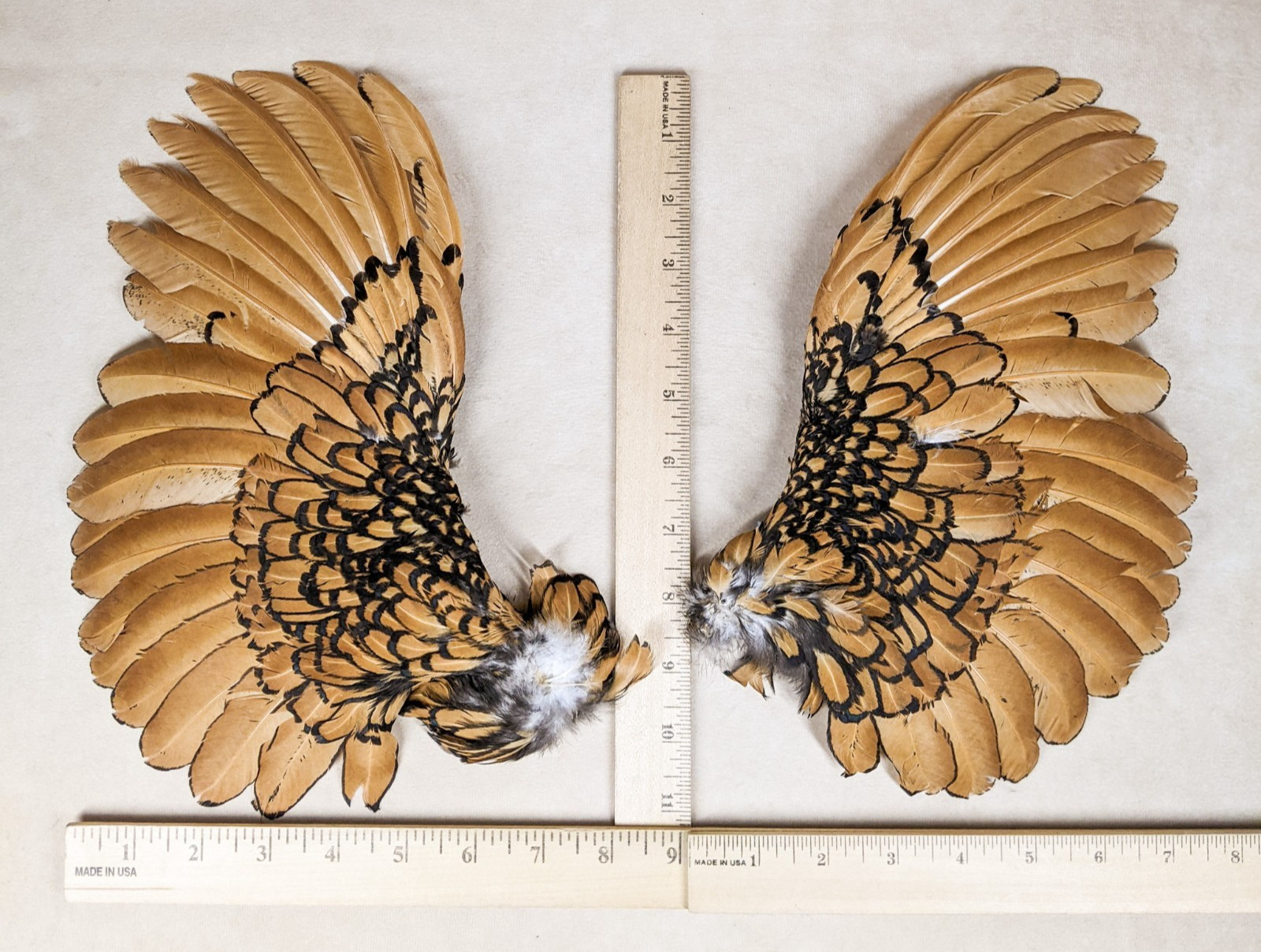 11 " Chicken Wings rooster Crafts Bird Feathers pair Halloween props costume
