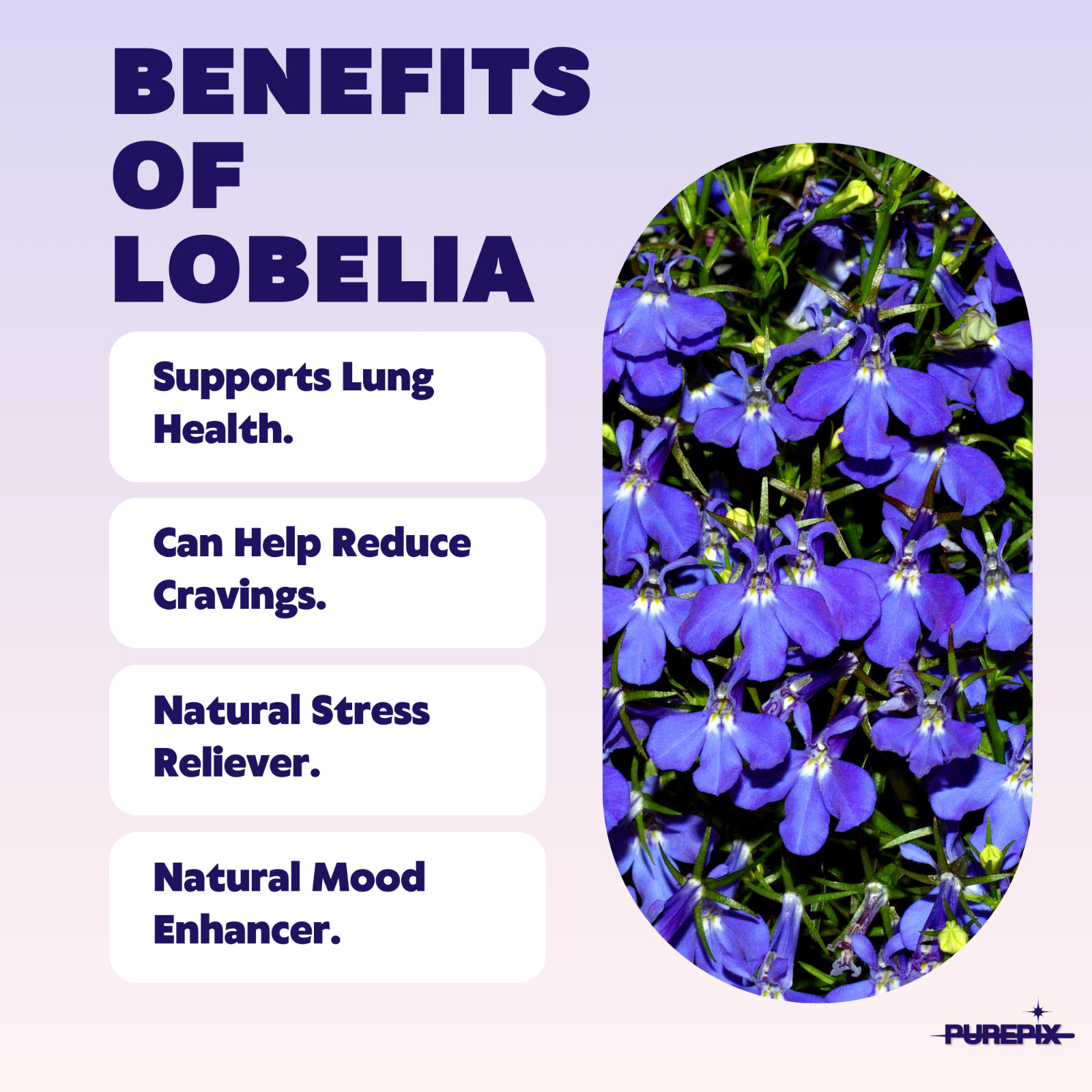 Quit Smoking Aid Premium Extra Thick Boosting Flavored Toothpicks with Lobelia