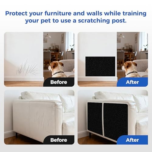 Dog Scratch Board with Treat Box | Calming Nail Trim Pad | Wood Stress Free Dog