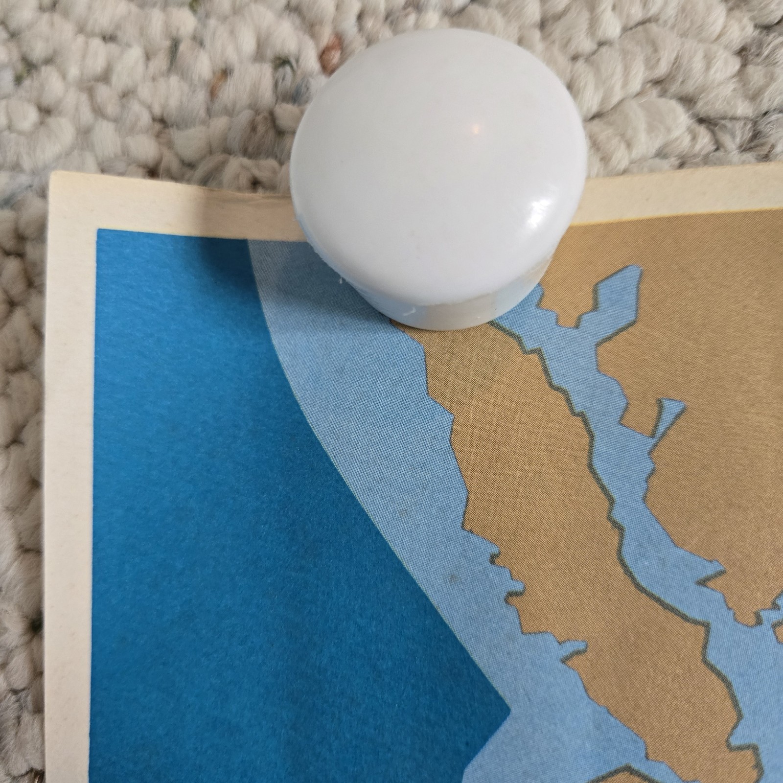 1960 Veterinary Medicine In America Poster History Map Unframed Vtg Vet Wall Art