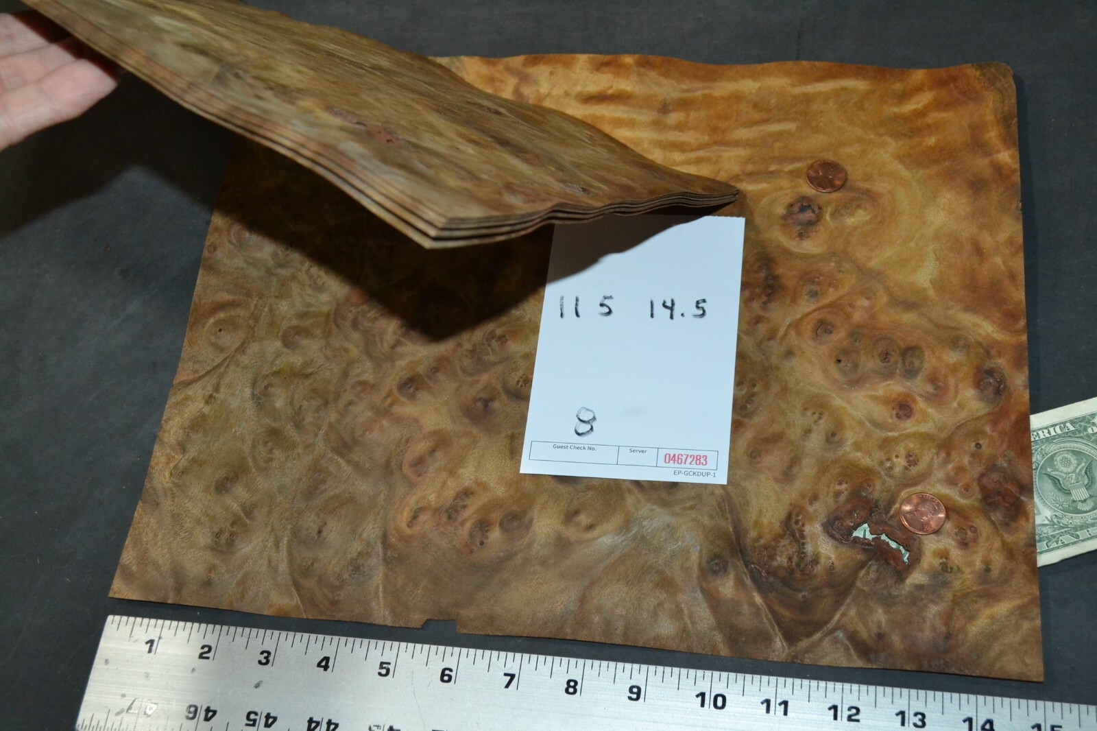 Camphor Burl Raw Wood Veneer Sheet 11.5 x 14.5 inches 1/42nd thick 4672-83