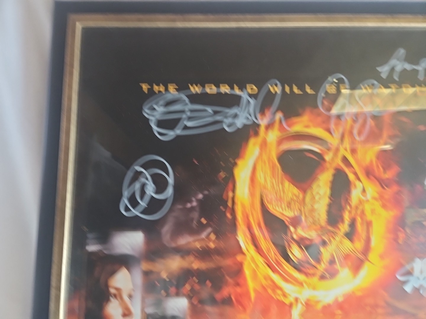 2012 NECA LIONSGATE THE HUNGER GAMES MOVIE ARENA POSTER 22x34 Signed By CAST!!