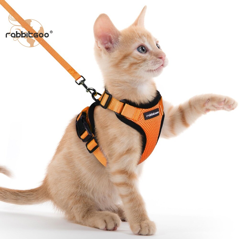 rabbitgoo Cat Harness and Lead Escape Proof Adjustable Reflective Vest Orange