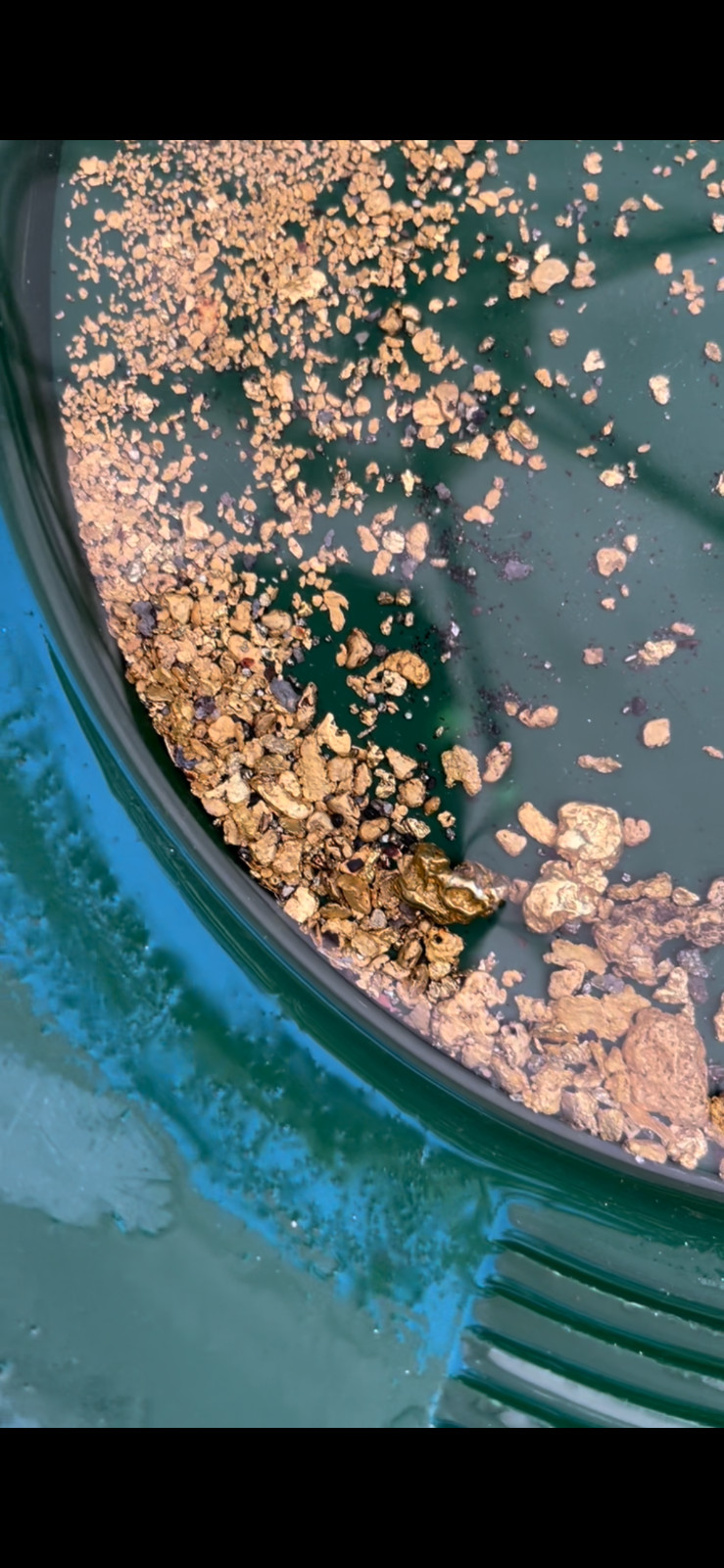 GOLD Paydirt Guaranteed Unsearched Rich with black sand + Added Gold concentrate