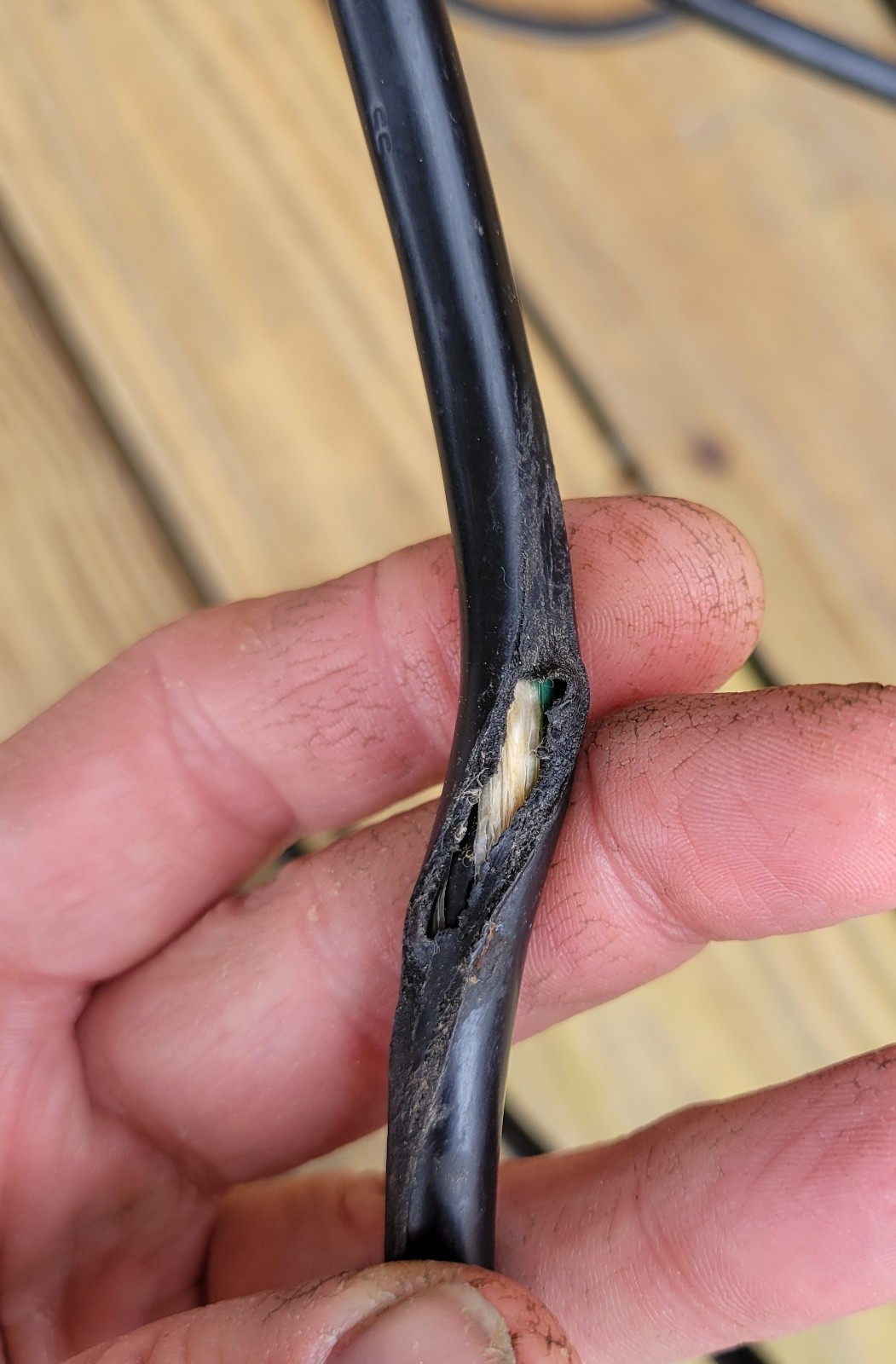 Waring Commercial Pro Quik Stik 2-Speed Immersion Blender Model WSB33