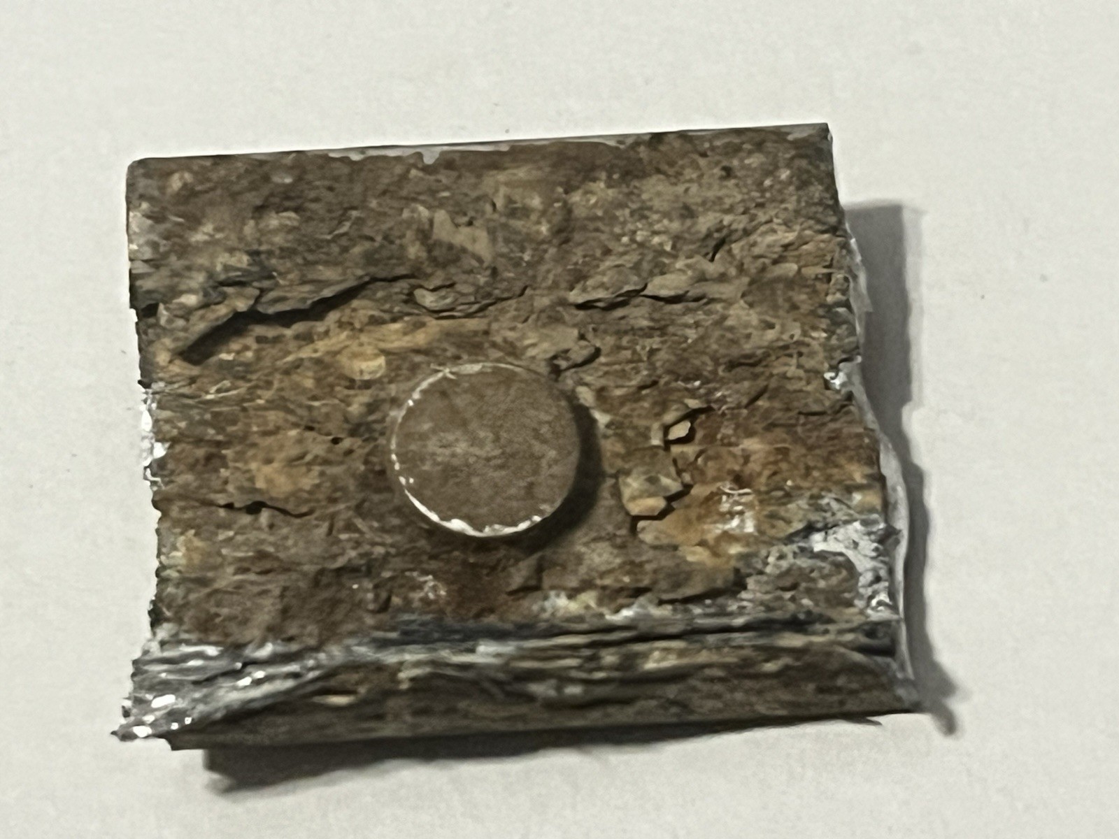 Lynyrd Skynyrd Signed COA Plane Crash Steel Rivet 1”X1” From Fuselage Craig Reed