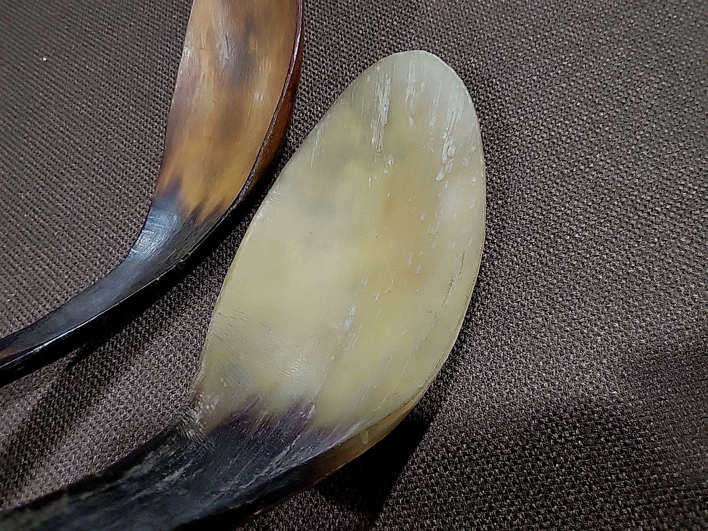 (2) Ahousaht Northwest Indian Inuit West Vancouver Canada B.C. Sheep Horn Spoons