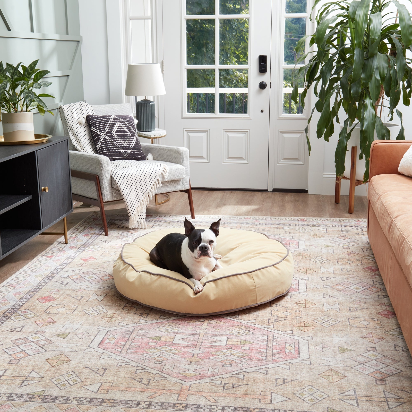 Scout Deluxe Round Microfiber Pillow Dog Bed