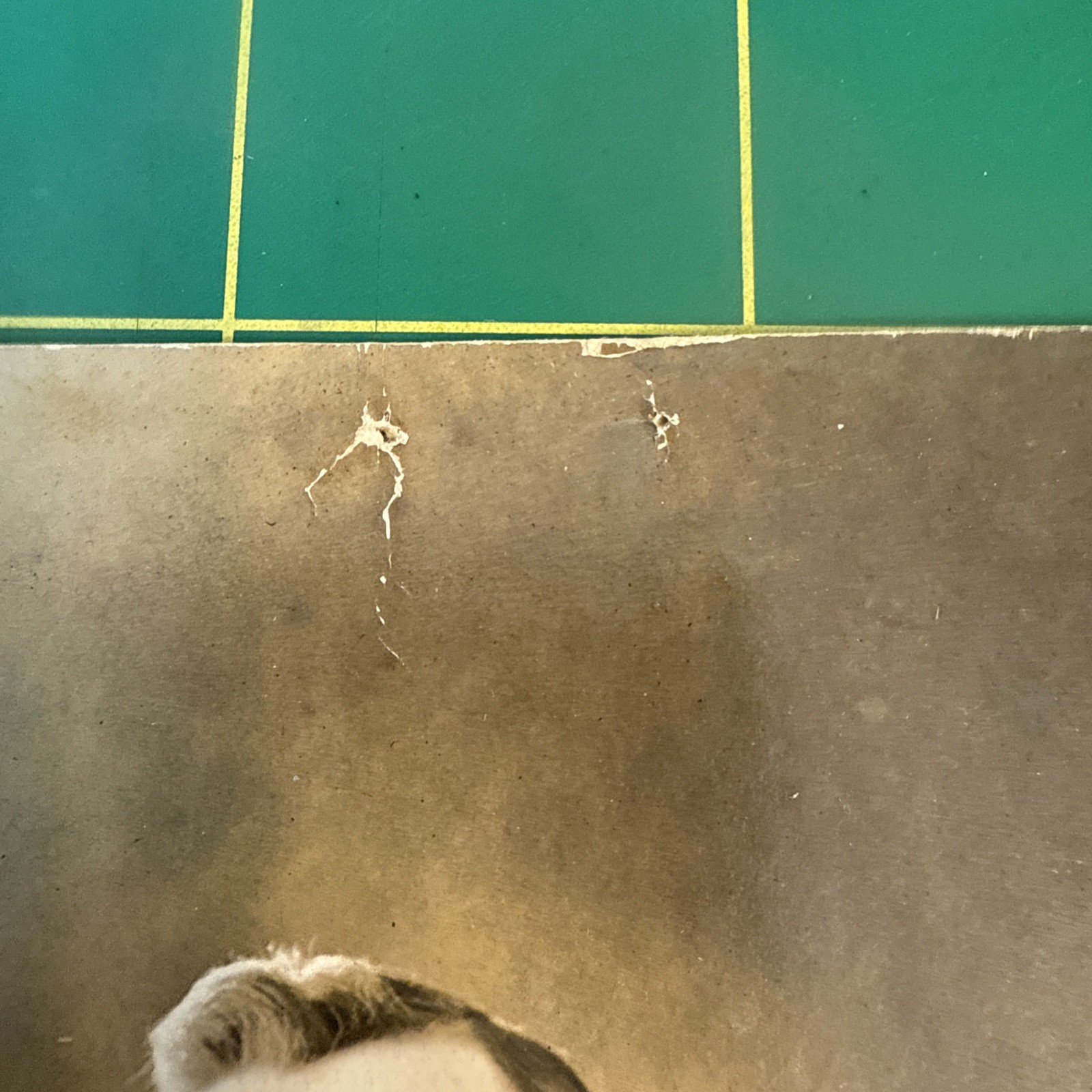 WW1 Photo Postcard Named RPPC