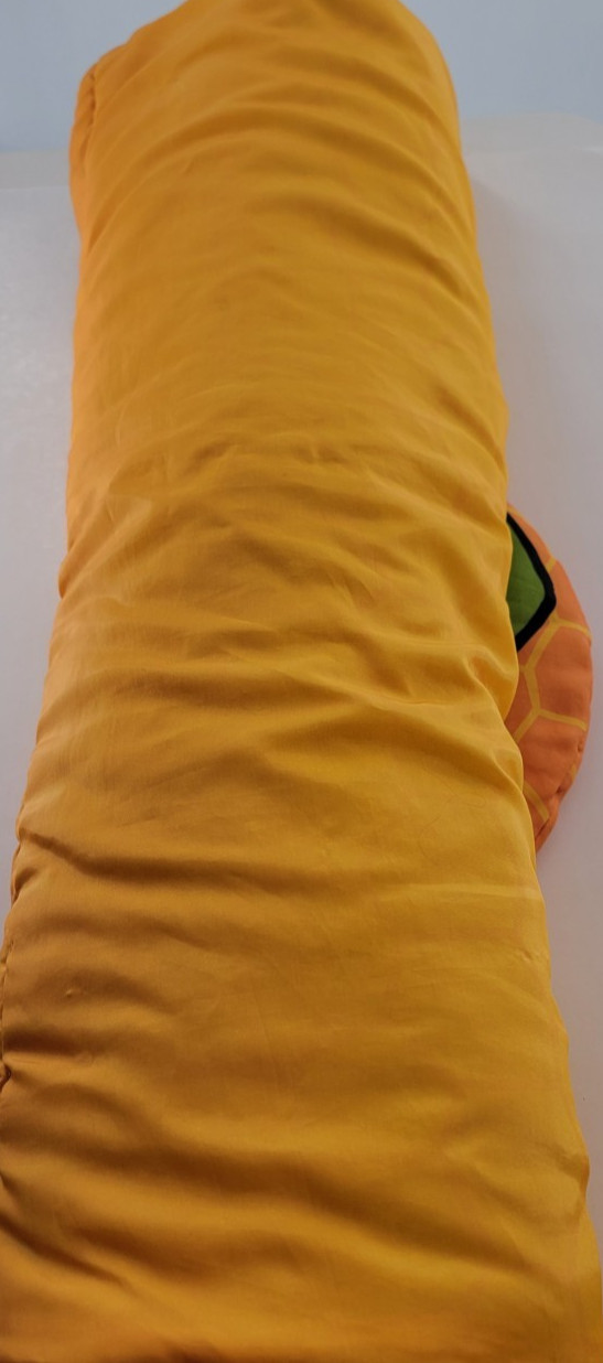 Teenage Mutant Ninja Turtles Sleeping Bag Leonardo It’s A Green Thing