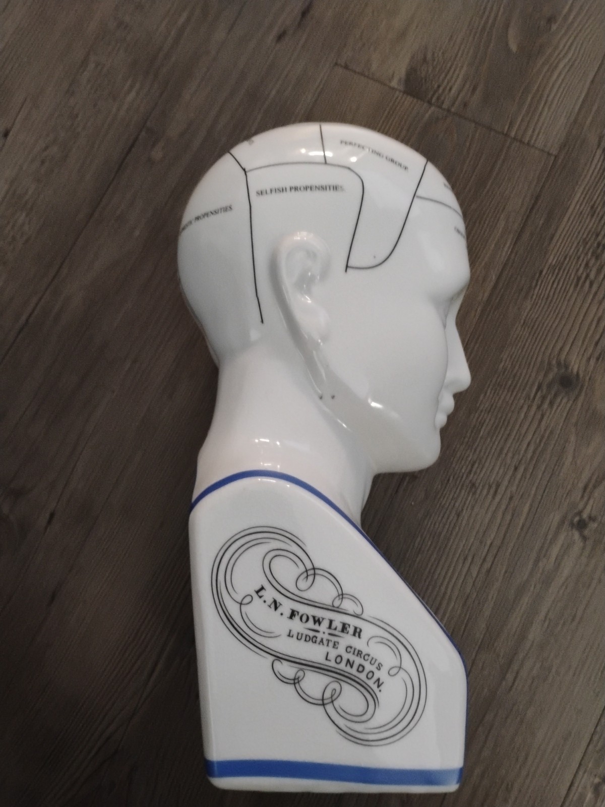 Phrenology Bust L.N. Fowler Scientific Psychology 12" Bank Ceramic Head