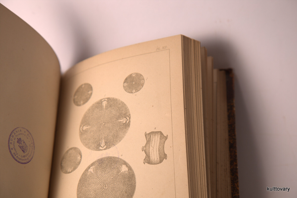 1877 quekett microscopical club ANTIQUE book journal vol.4