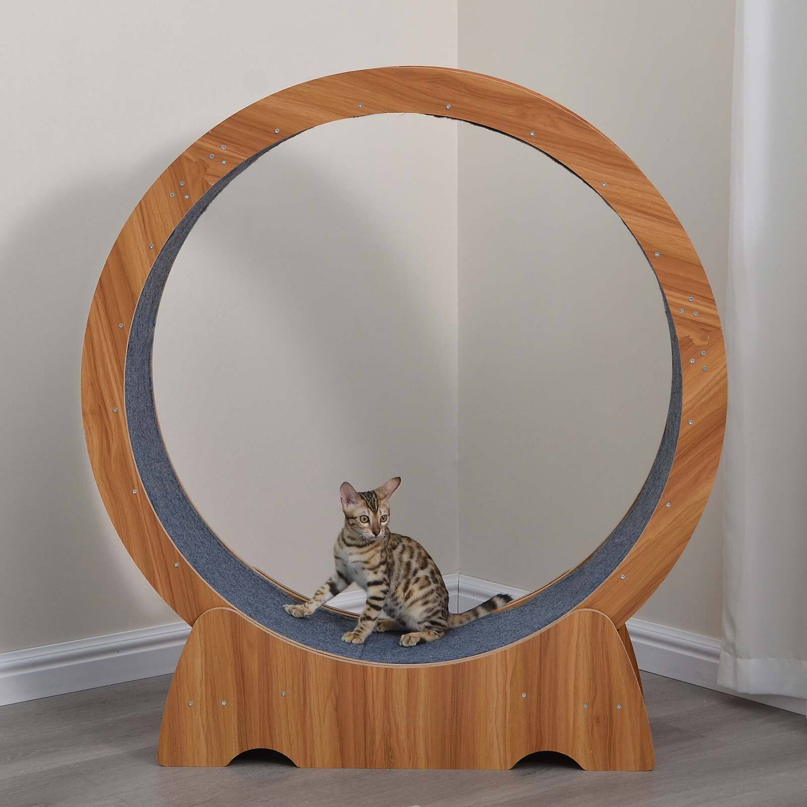 Cat Exercise Wheel Large Cat Treadmill Running Wheel Cat Toy Weight Loss Roller