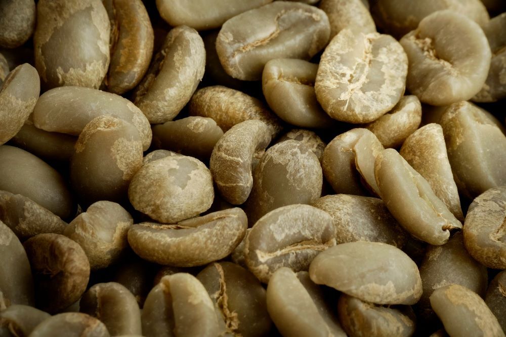 5 POUNDS green coffee beans – your choice of beans – MANY to choose from