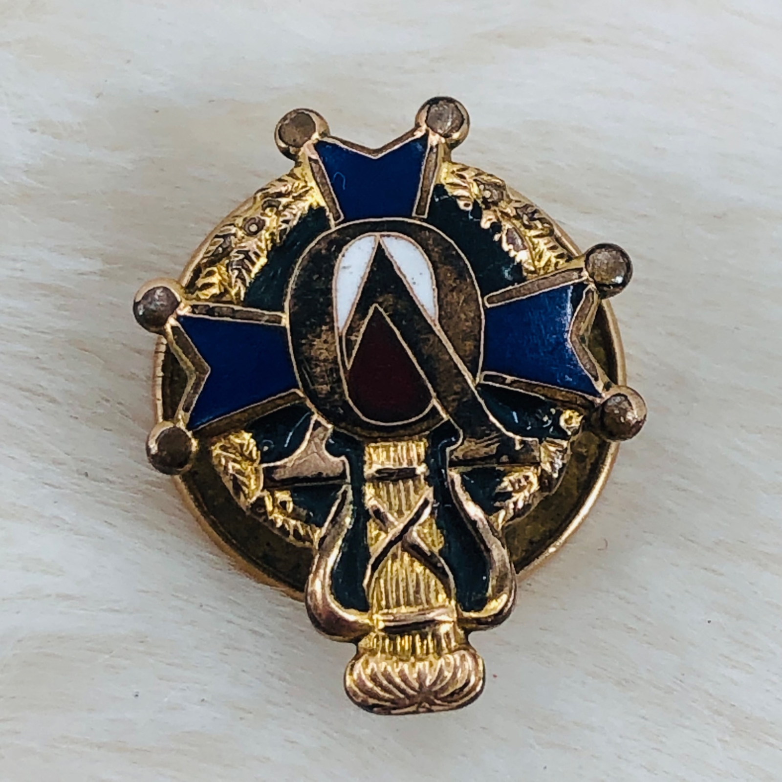 Vtg VASA Order of America Swedish Fraternity Member Screw Back Enamel Lapel Pin