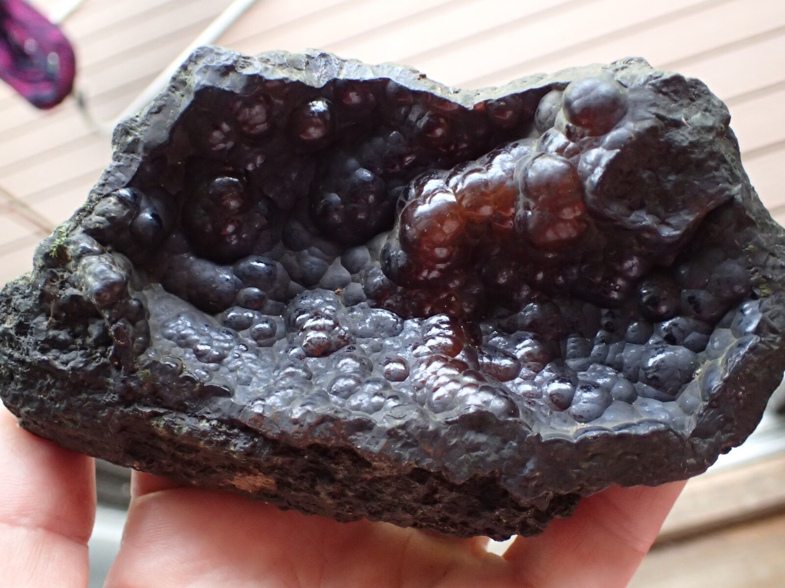 Botryoidal Fossil Coral Geode Chunk GA Specimen Collection Agate Marine Sea WC63