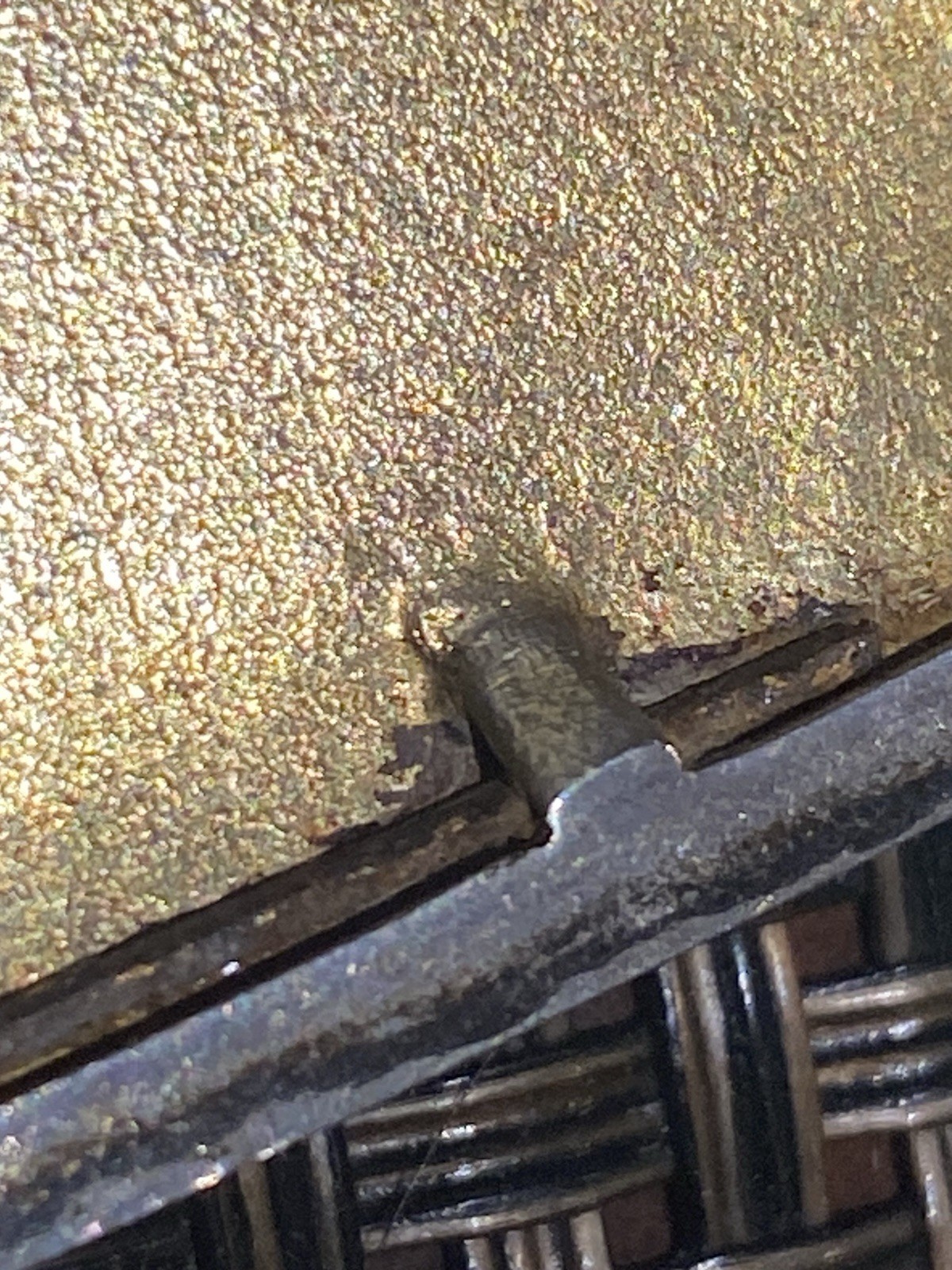 Antique Art Nouveau Silver Cigarette Case of Bamboo Design, E·S Anchor Mark 19th