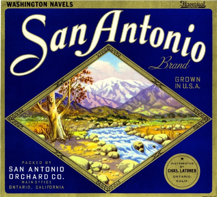 Ontario San Antonio Mt. Mount Baldy Orange Citrus Fruit Crate Label Art Print