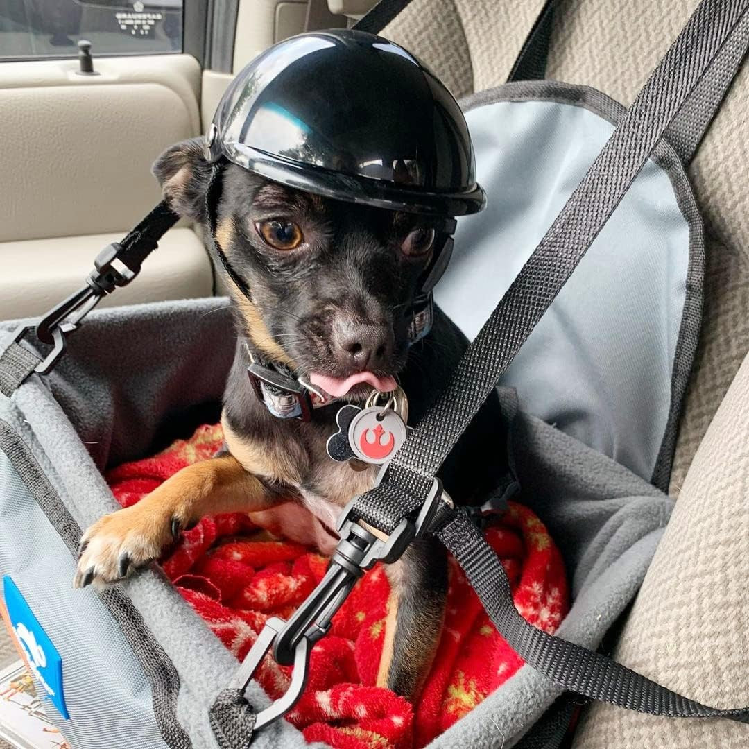 Dog Helmet for Small Dogs, Motorcycle Dog Helmets Chihuahua Helmet, Outdoor Bike