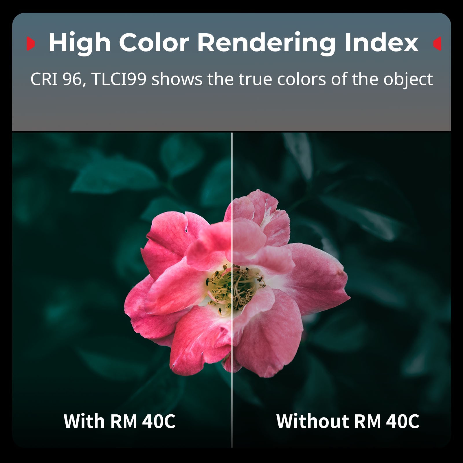 SmallRig RM 40C Mini LED RGB Video Light,4800mAh Battery 2500K-10000K 5359