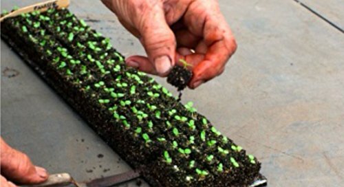 Ladbrooke Soil Blocker 2-Pc Set - Micro 20 w/ Cubic Inserts. Authorized Reseller