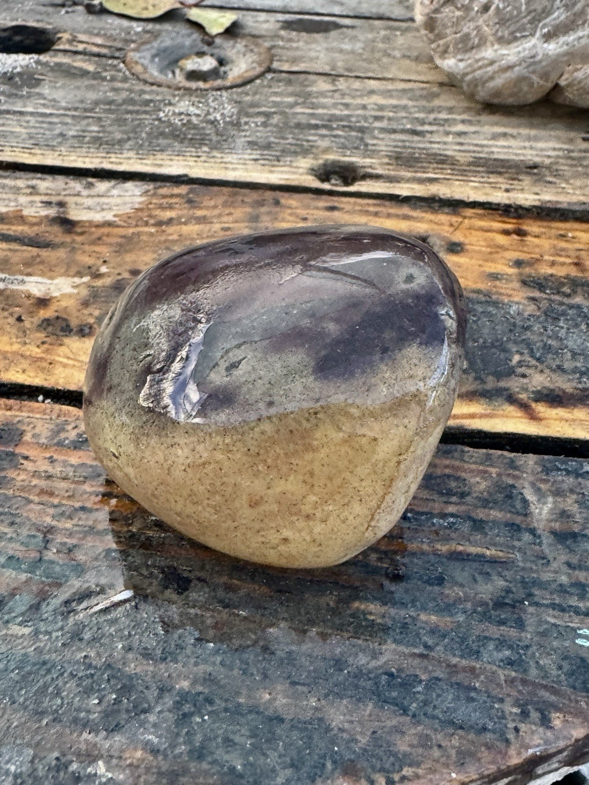 Rocks For Sale Nice Purple Wonder Stone Rough Unpolished