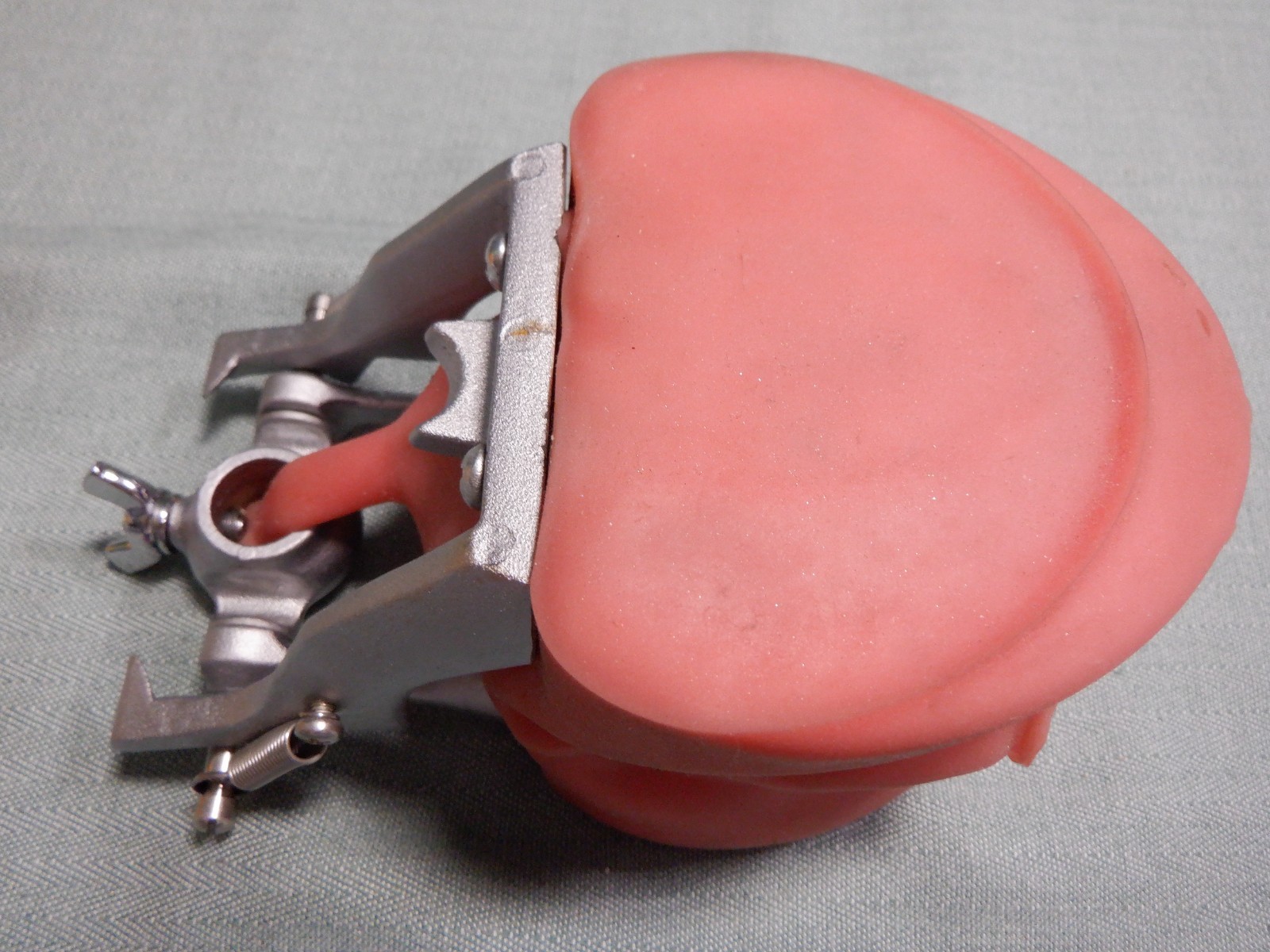 Nissin Typodont Dental Teeth