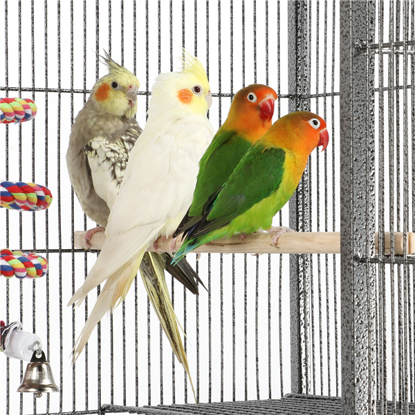 69'' Large Bird Parrot Cage Cockatiel Conure Cacique Pionus w/Stand & Two Doors