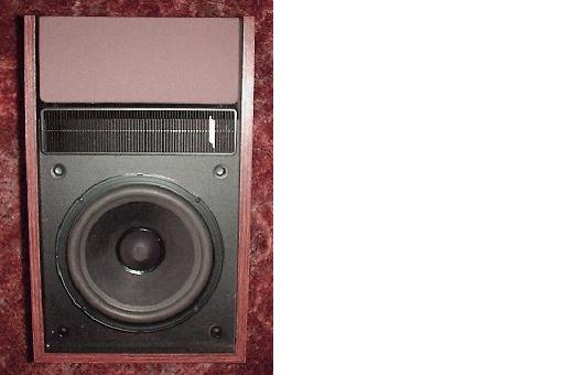 BOSE 301 (all series) 8" Foam Surround Speaker Woofer Repair Kit