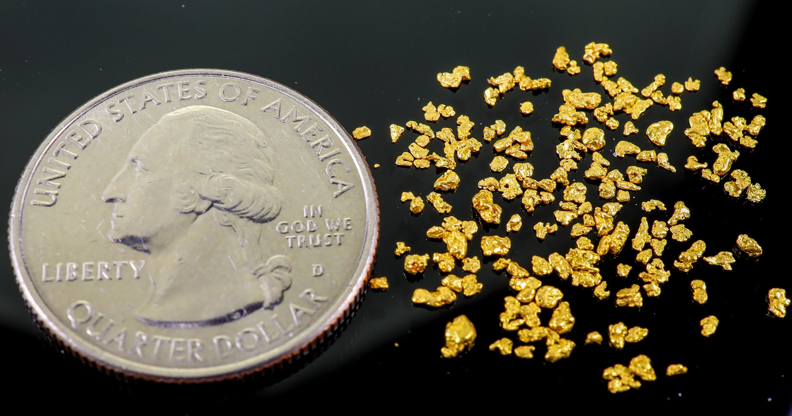 Todd Hoffman's Mammoth Valley Gold Rush Nuggets #25-14 Mesh 1 Gram of Fines