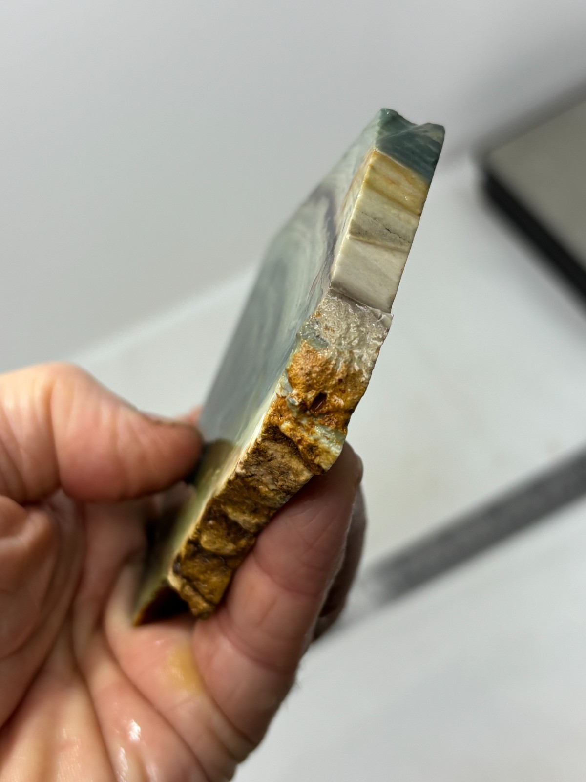 Gary Green Caldera Freedom Jasper Slab Cabbing Lapidary Combo Ship Avail