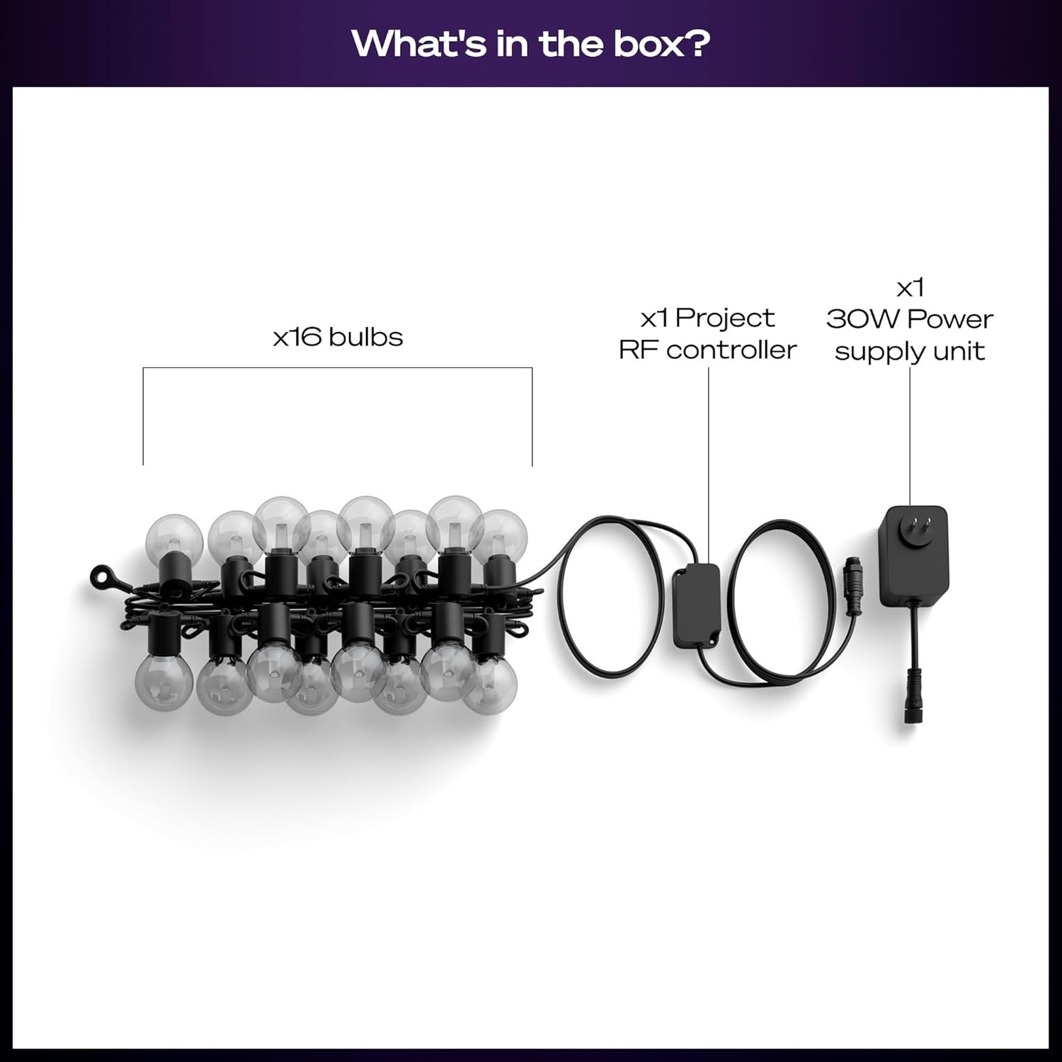 Philips Hue Festavia Globe Outdoor String Lights, Color 45ft,16 Bulbs,black