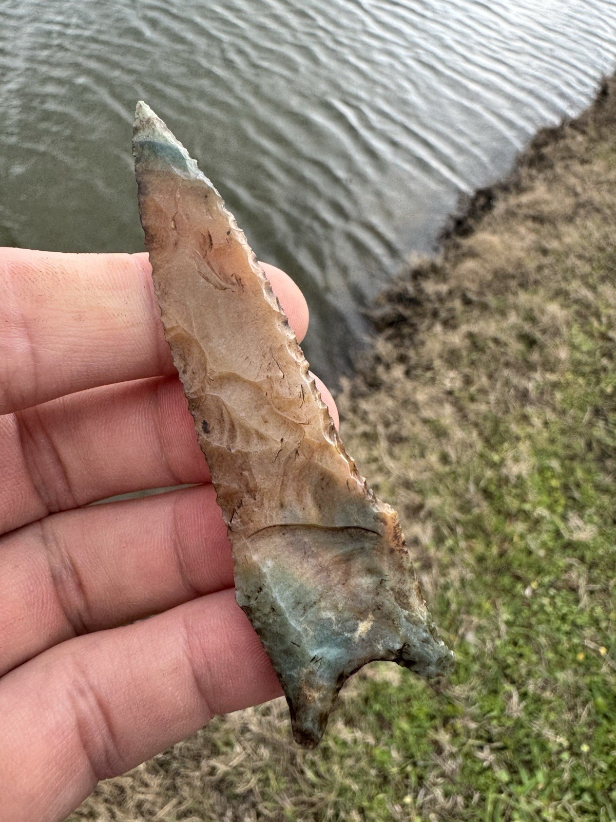 Rare Colorful KILLER Native American Oklahoma Paleo Dalton Fluted Arrowhead Poin