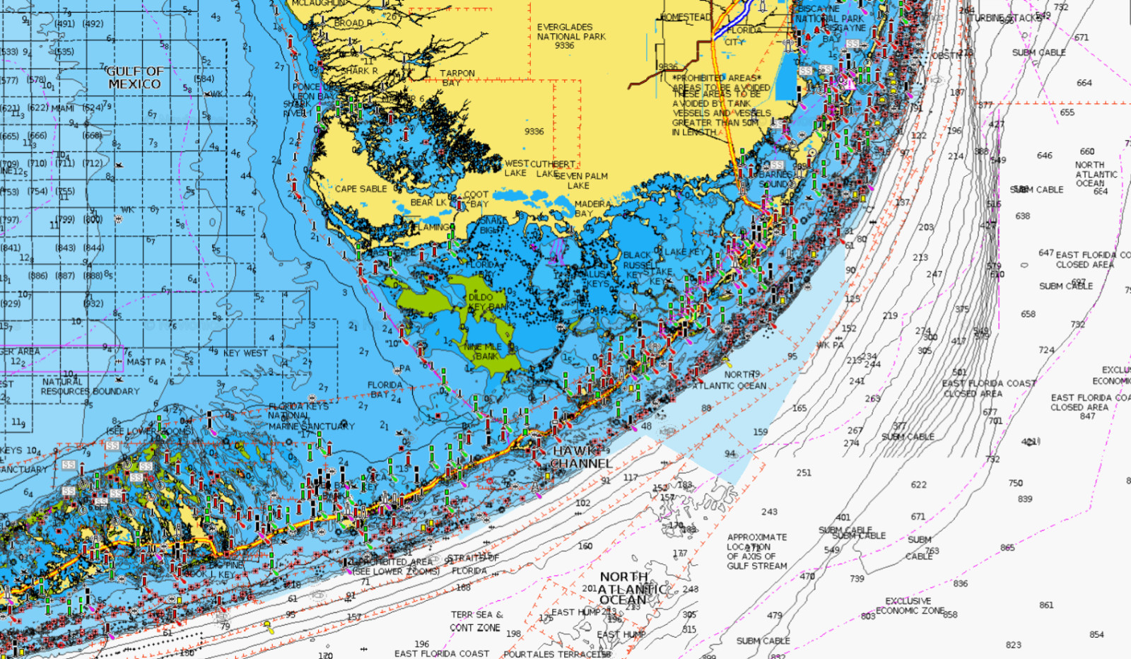 2025 Navionics Plus microSD MSD Chart Card Maps Mexico, Caribbean Brazil,Bahamas