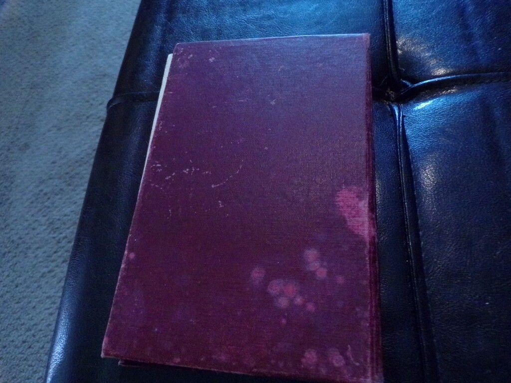 1919 What the "Boys" Did Over There by "Themselves" WWI Allied Overseas Stories