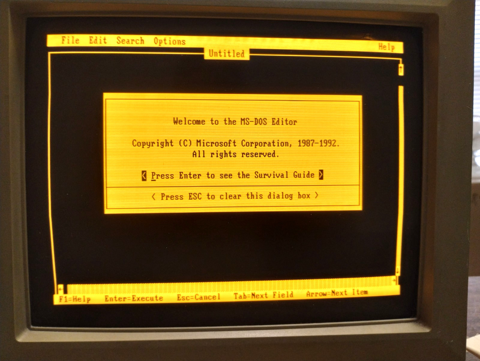 VINTAGE Monochrome Monitor with Swivel! WORKS! Bright! READ!