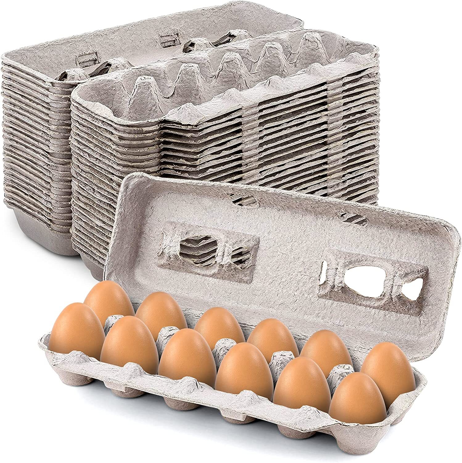 MT Products 12 Compartment Blank Natural Pulp Egg Cartons - Pack of 25